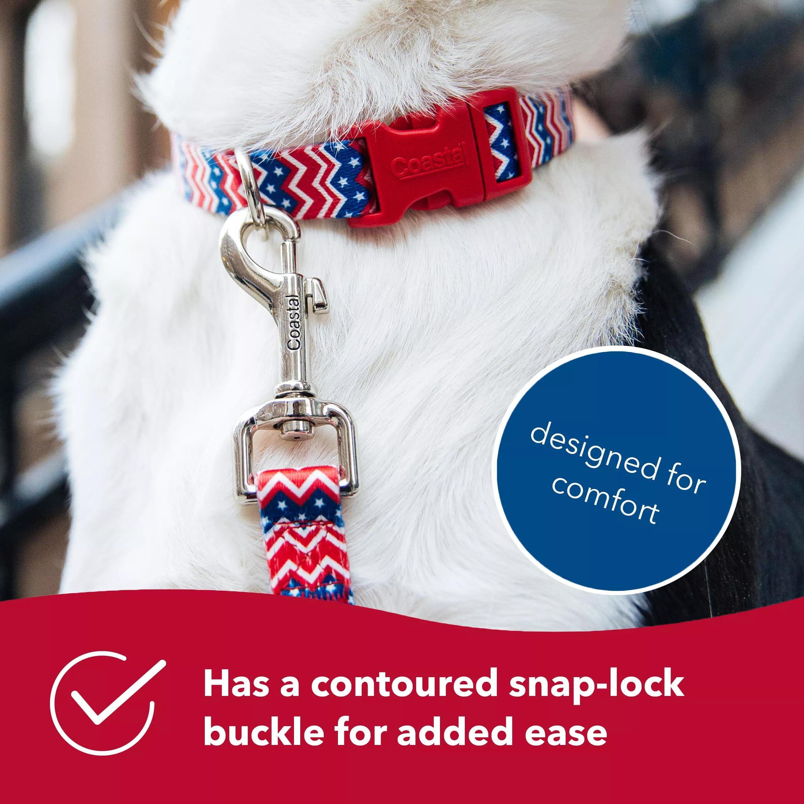 Amazon.com : Coastal Pet Styles Adjustable Dog Collar - Stylish