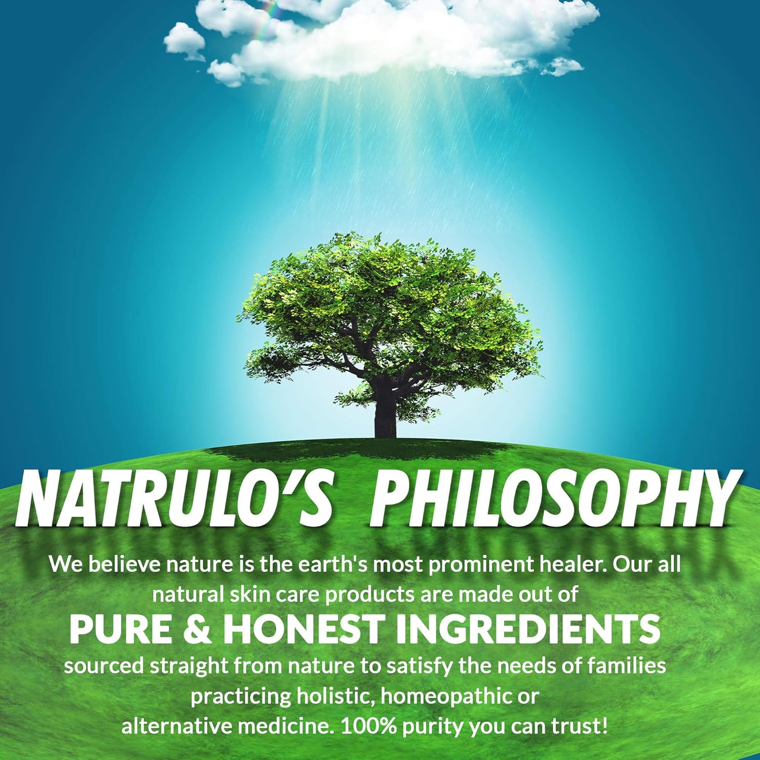 Organic Ear Oil for Ear Infections - Natural Eardrops for Infection Prevention, Swimmer's Ear & Wax Removal - Kids, Adults, Baby, & Dog Earache Remedy - Mullein, Garlic, Calendula Made in USA : Health & Household