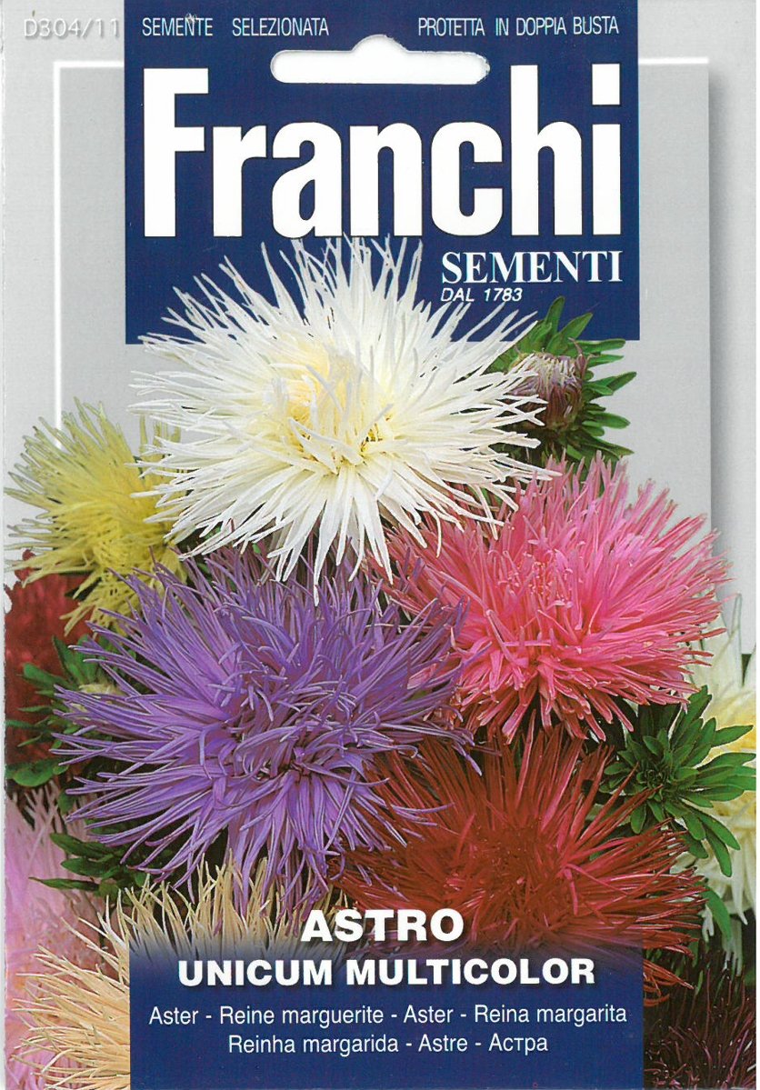 Franchi Chinese Aster - Astro unicum multicolor