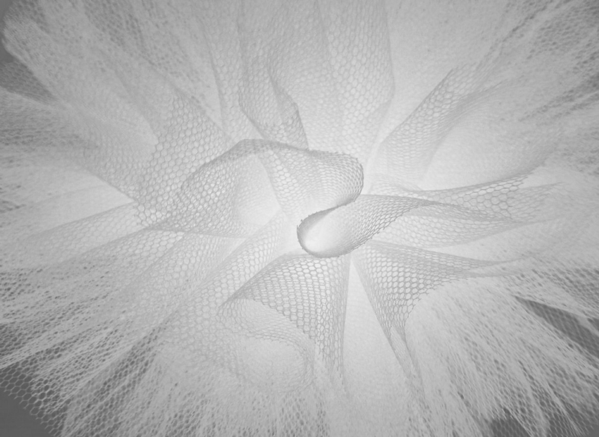 Scalloped Tulle Circles 24