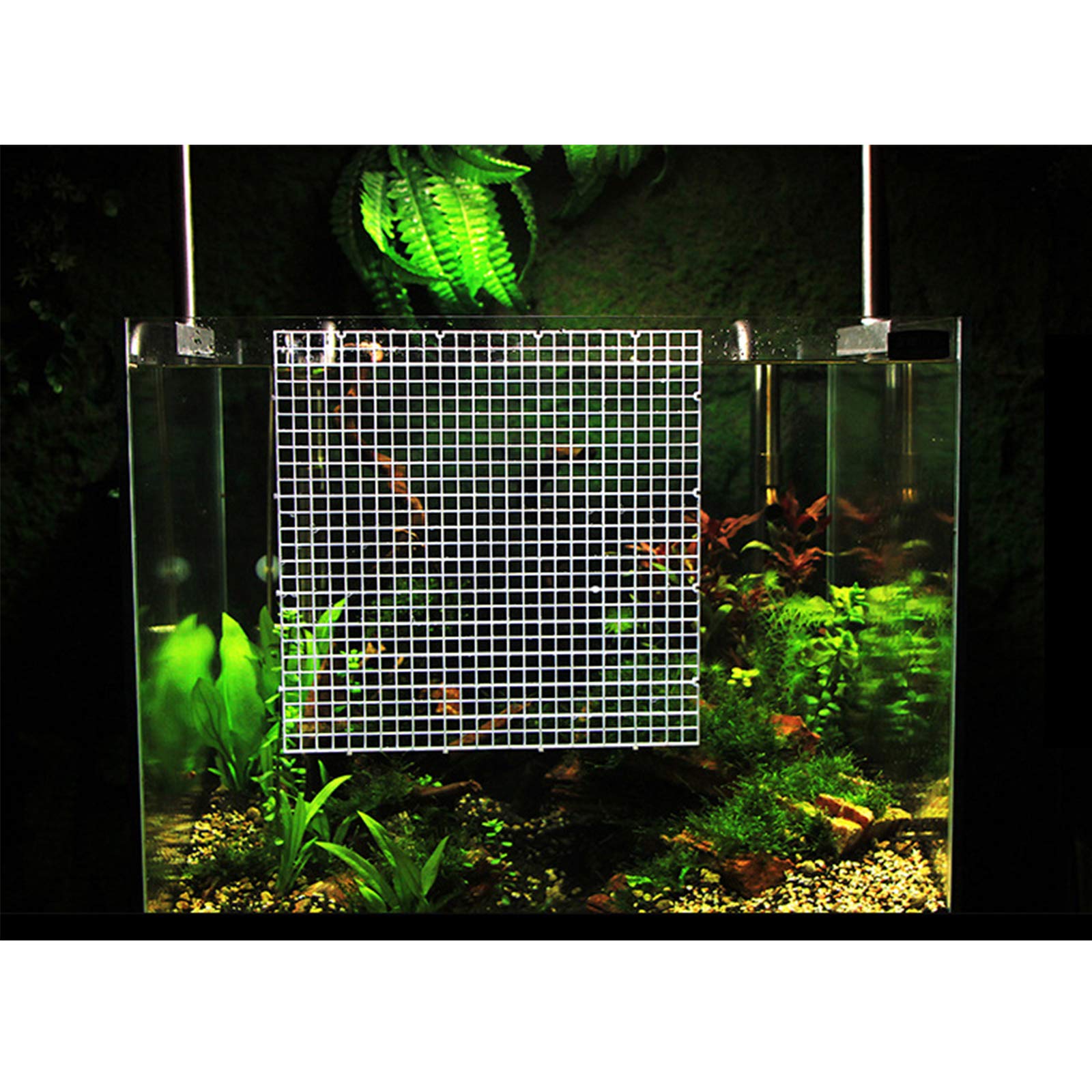 Divisori Per Acquario In Plastica - 4 Pezzi Con Ventose, 30x15 Cm - Foto 10