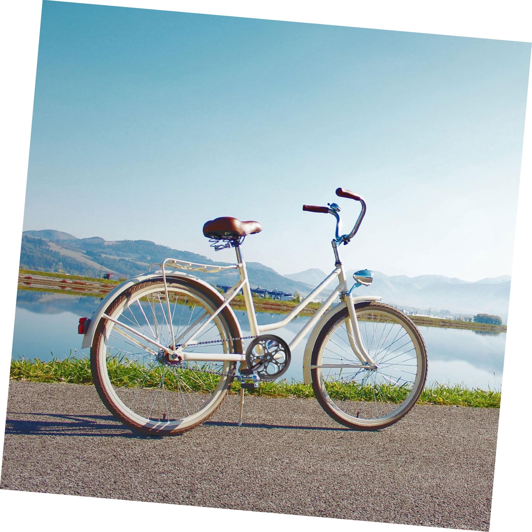 Guarnitura per Bici a velocità Singola Corona Singola 52 Denti Pedivella in Ferro 170 MM Resistente Accessori di Ricambio per Mountain Bike e Bici da Pista