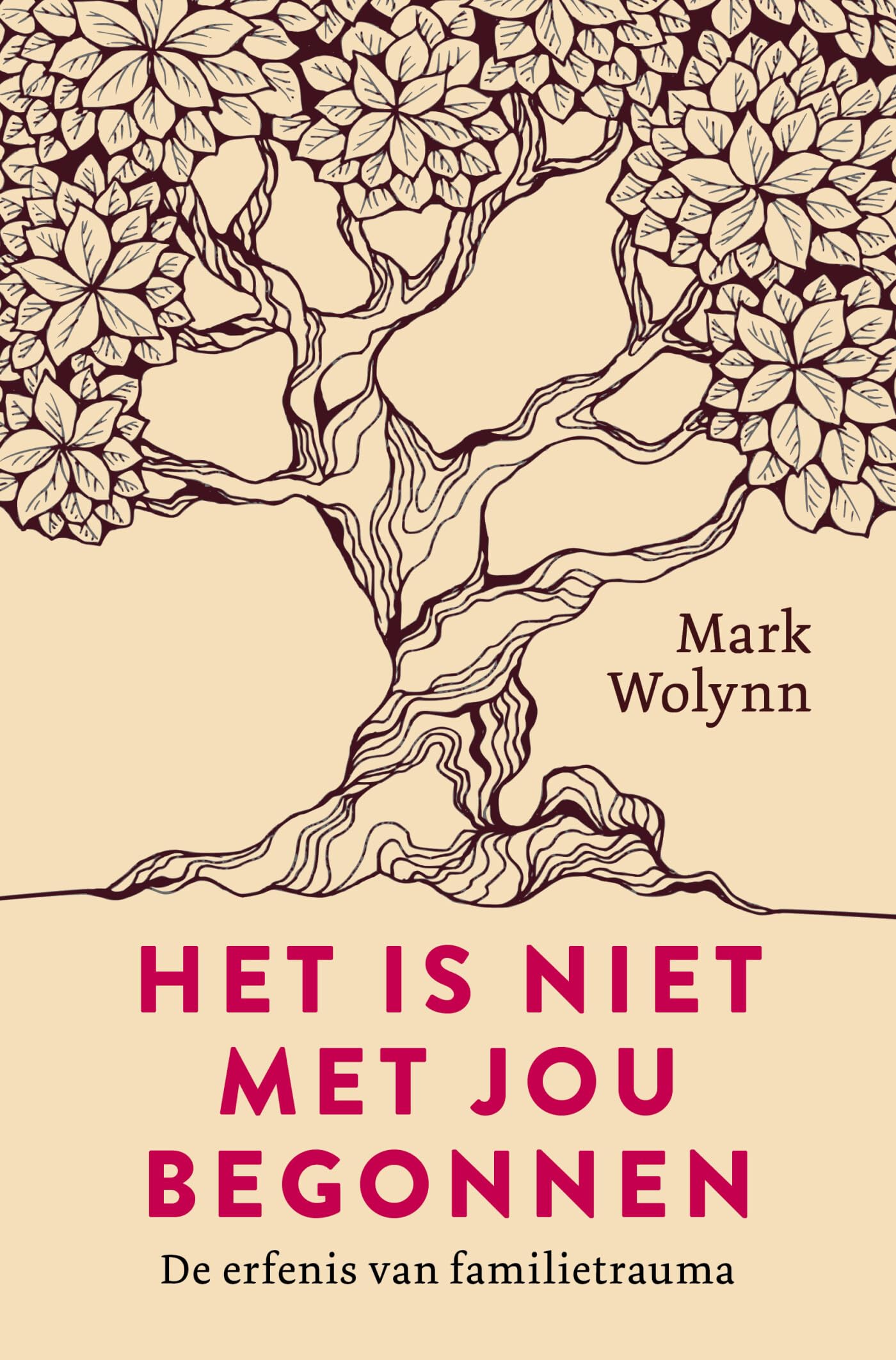 Het is niet met jou begonnen: de erfenis van familietrauma