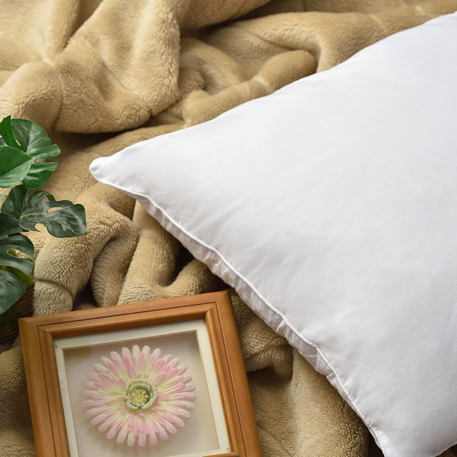 45 x 45cm cushion insert