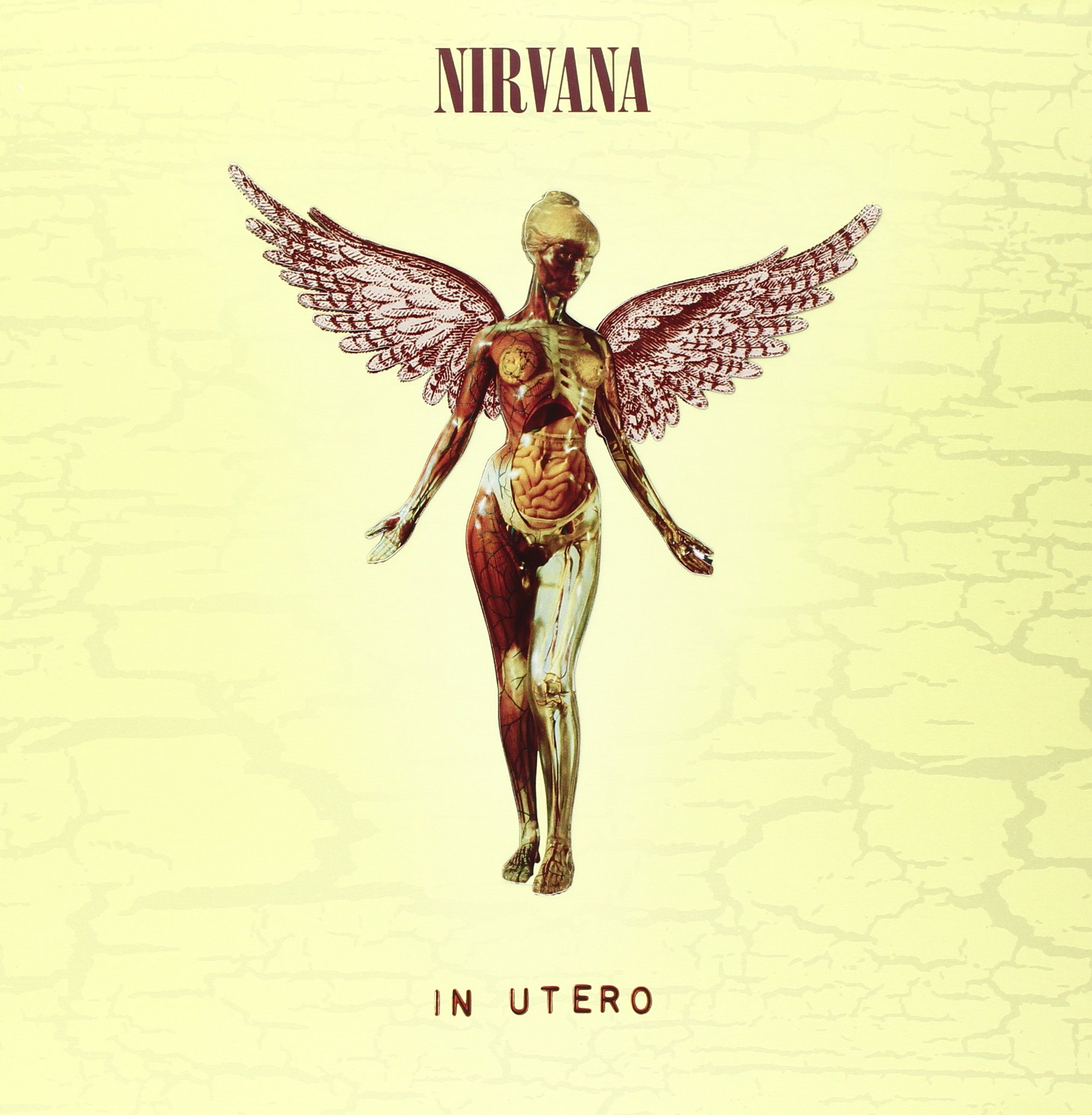 In Utero: 20th Anniversary