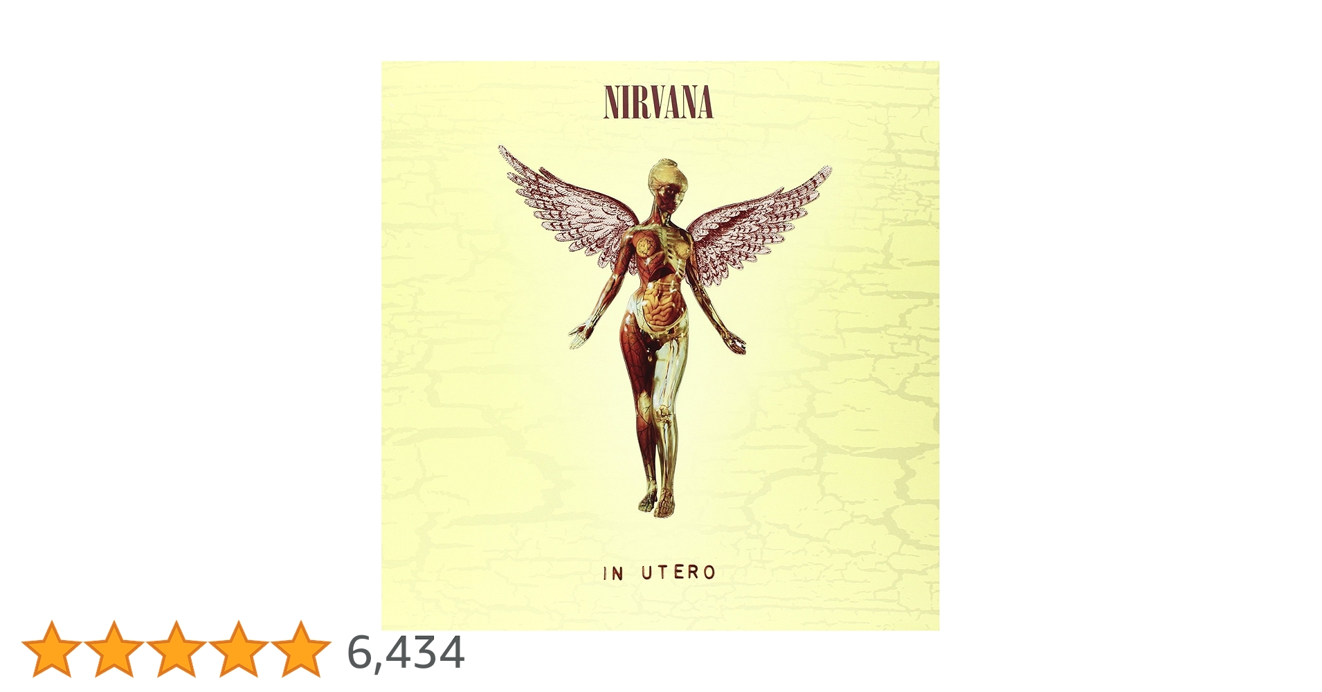 洋楽 [3CD+1DVD] In Utero 20th Anniversary 81o5RZfWzwL.jpg_BO30,255,255,