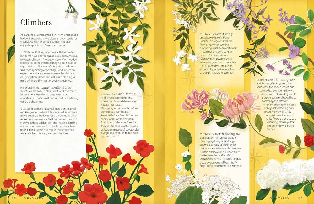 Flora: The Graphic Book of the Garden: Barter, Mr. Guy