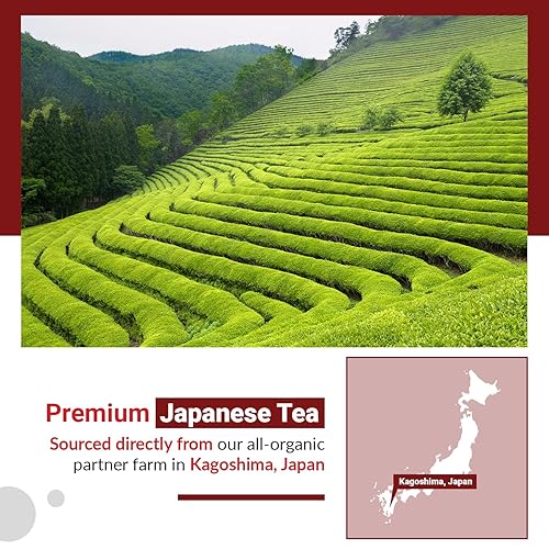 Miniatura 8 de Matcha Moon Polvo de té negro Wakoucha orgánico estilo matcha - Kagoshima Japón - Bolsa resellable de 3.53 oz