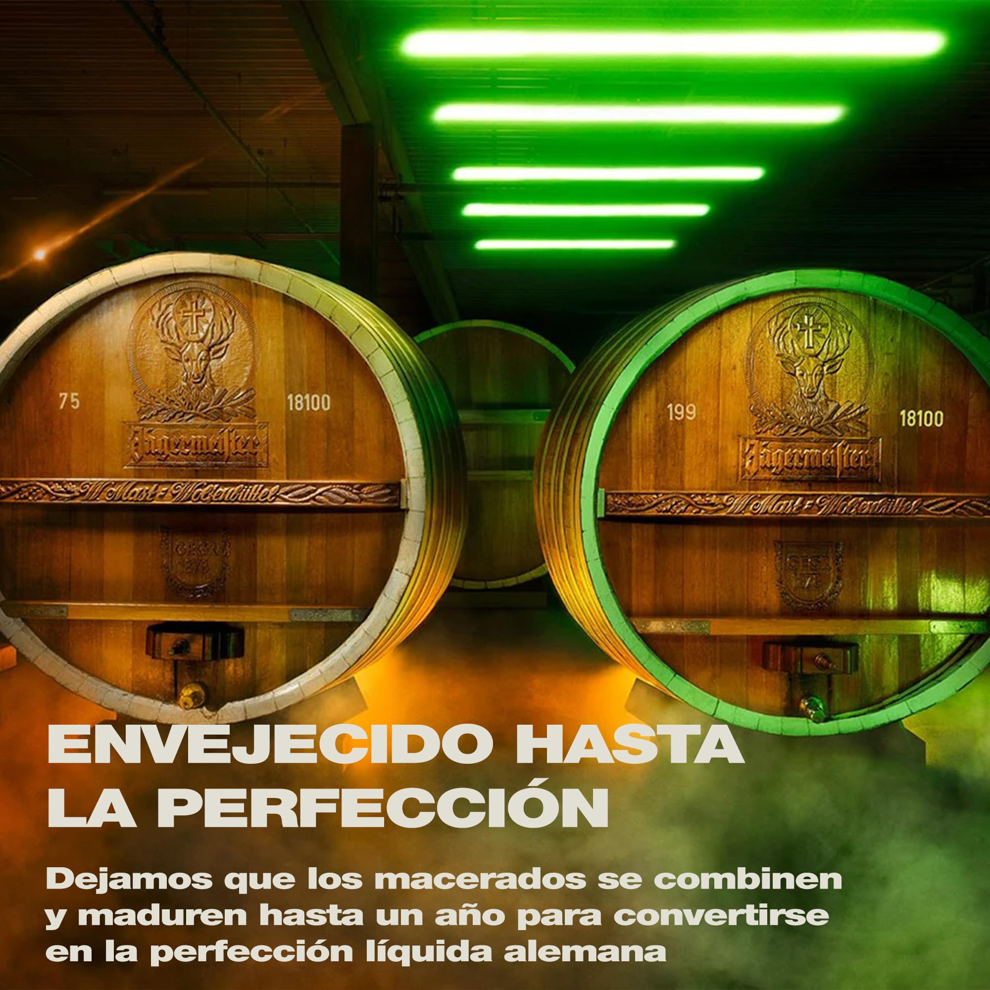 JÄGERMEISTER - Licor de Hierbas Pack 24 x 20 ml, con 56 Ingredientes Naturales