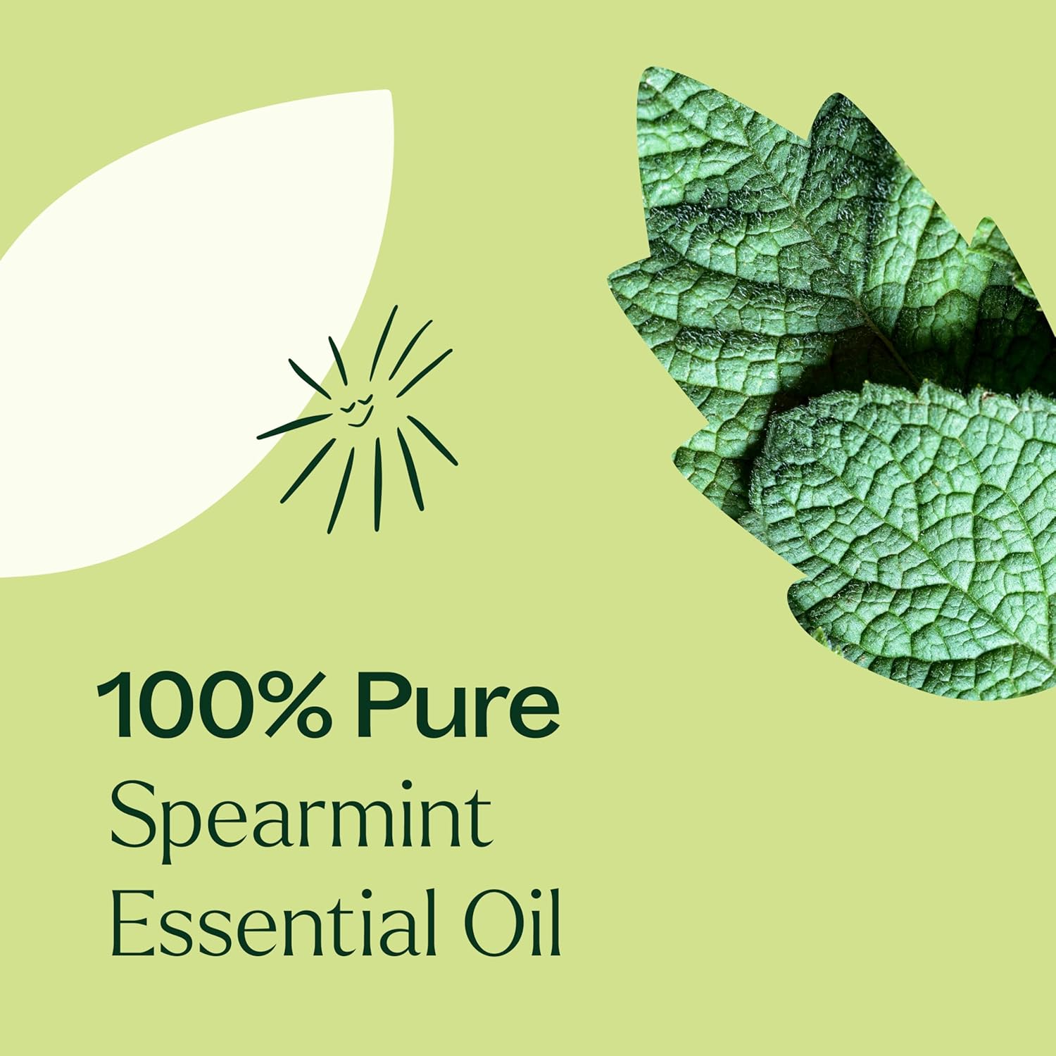 Plant Therapy Spearmint Essential Oil 100 mL (3.3 oz) 100% Pure, Undiluted, Digestive Health, Fresh Scent, Tension Relief - Image 5