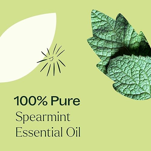 Miniatura 5 de Plant Therapy Aceite esencial de menta verde 1.0 fl oz (1 oz) 100% puro, sin diluir, grado terapéutico