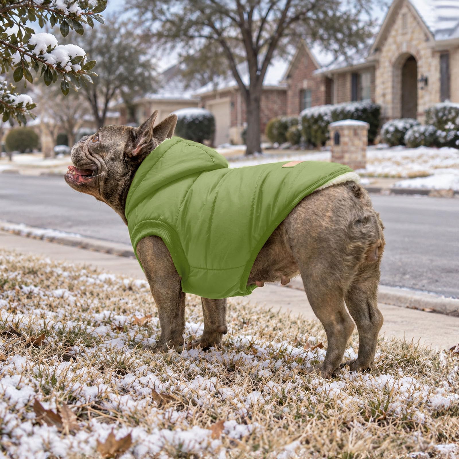 vecomfy Fleece und Baumwolle Futter Extra Warm Hund Hoodie im Winter für mittelgroße Hunde Jacke Haustier Mäntel mit Kapuze Grün L