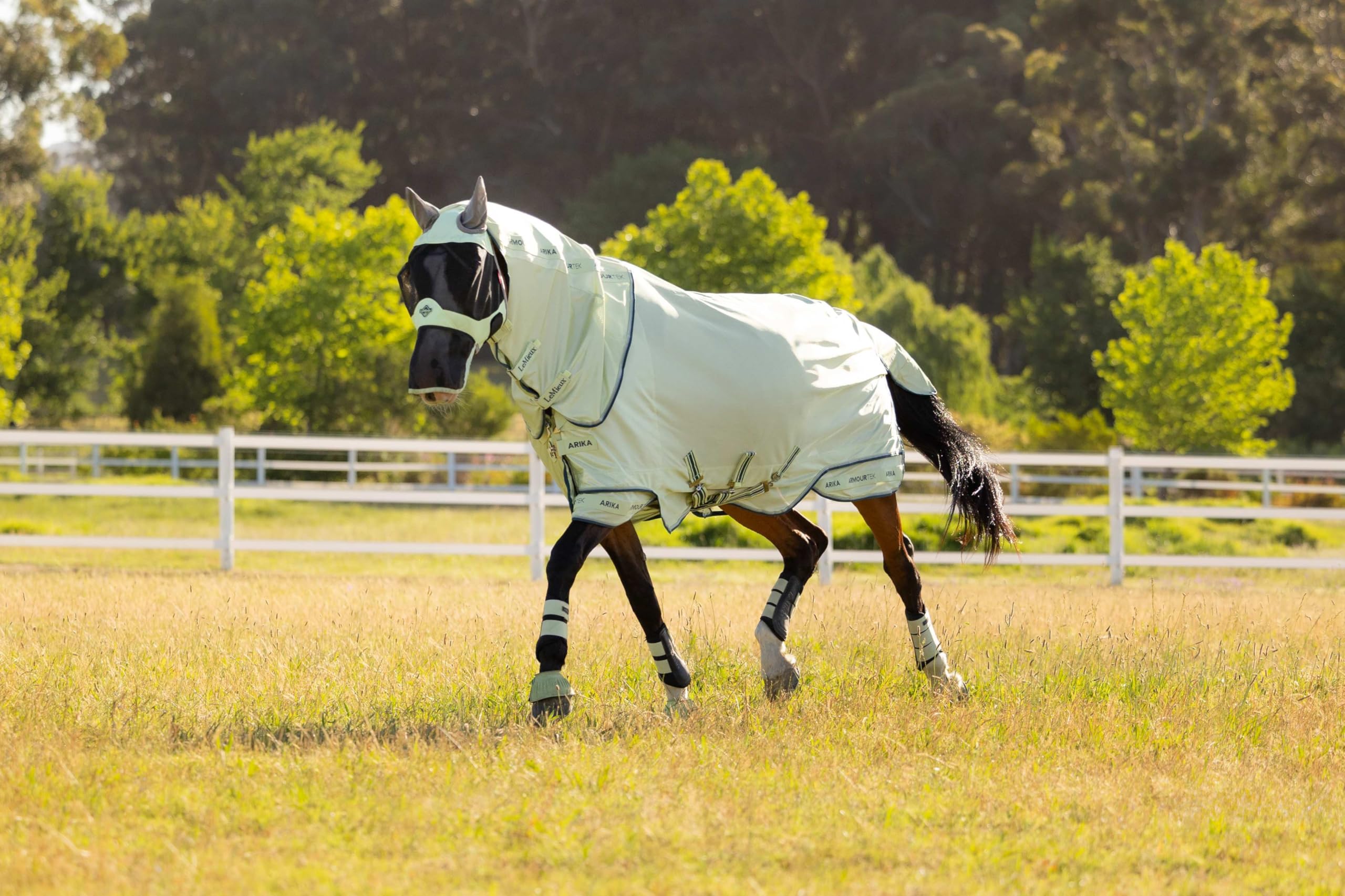 LeMieux Arika Armour-Tek - Manta antimoscas para caballo - Cuello extraíble - Macaron - 1,5 m