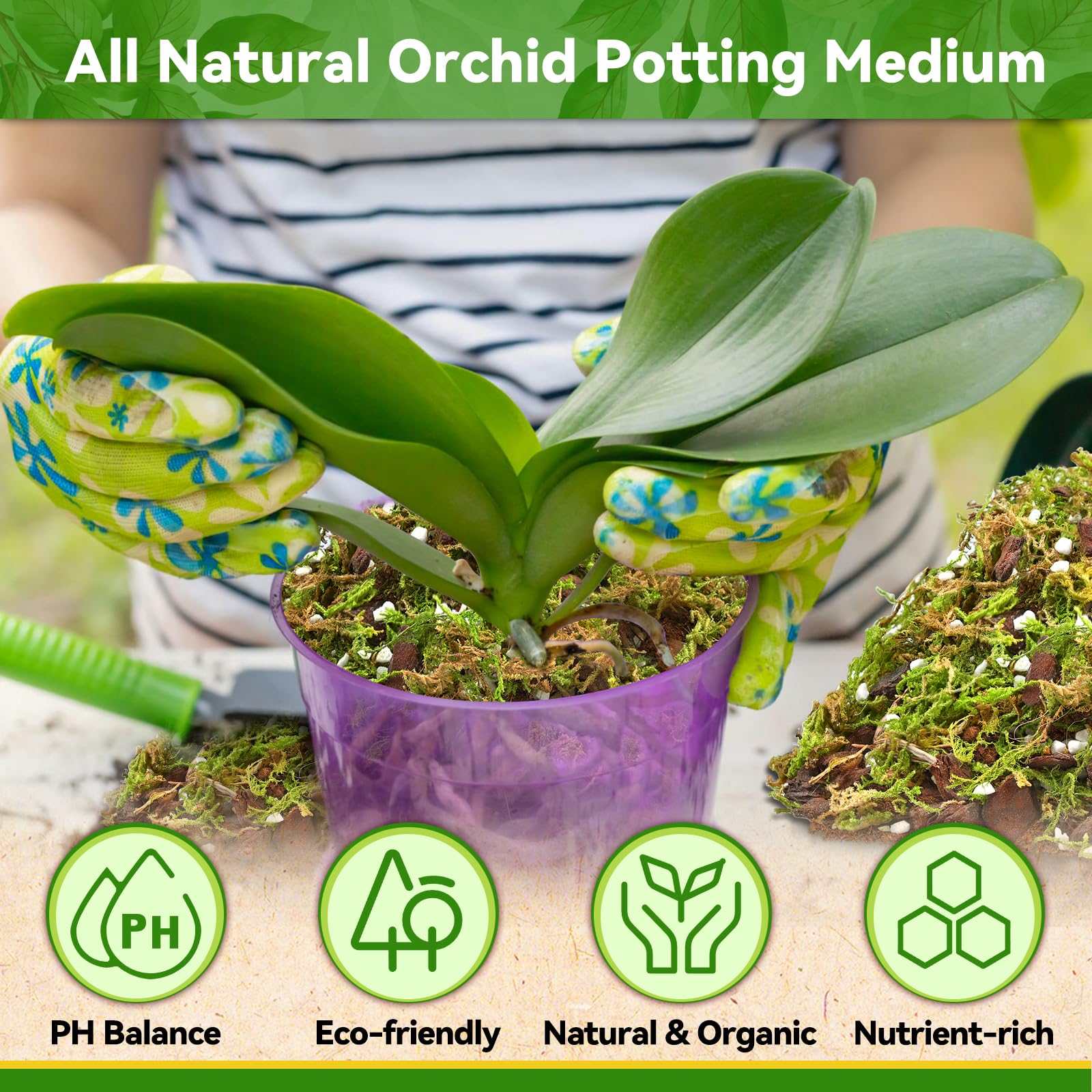 Riare Orchid Potting Mix for Repotting- 6L Orchid Repotting Kit Include Moss, Pine Bark, Perlite - Image 4