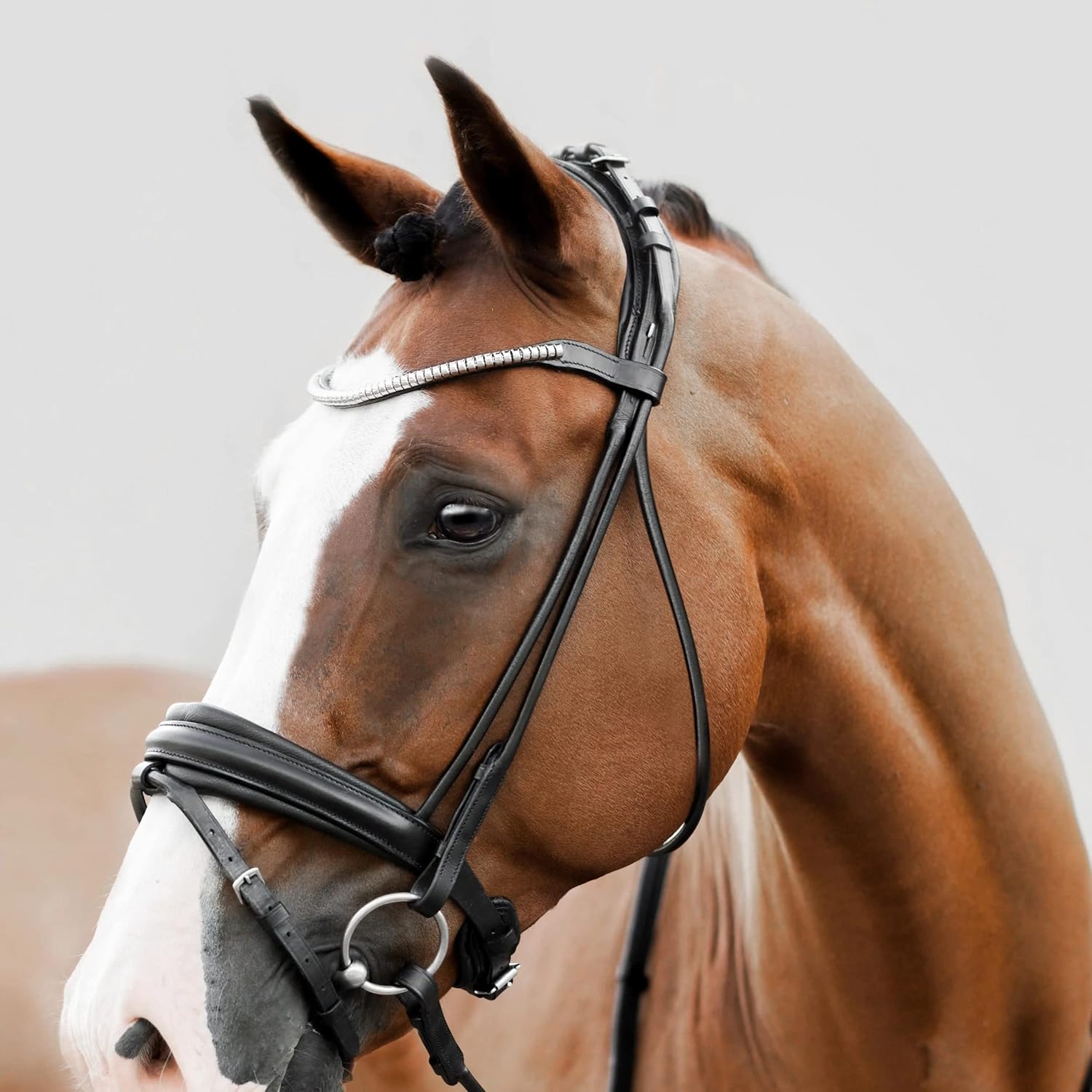 Lumiere Equestrian 'Mercie' Rolled Classic Bridle : Sports & Outdoors