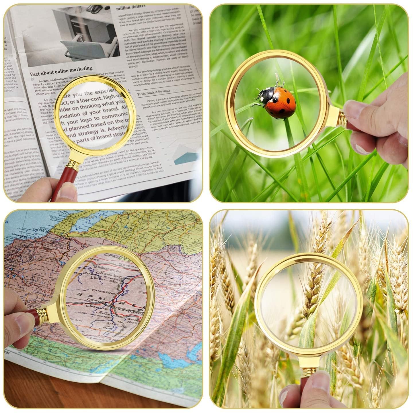 DELINGER Magnifying Lens Detachable Handle Glass Magnifier Hand for Jewelry Loupe, Book and Newspaper Reading (60MM) 4