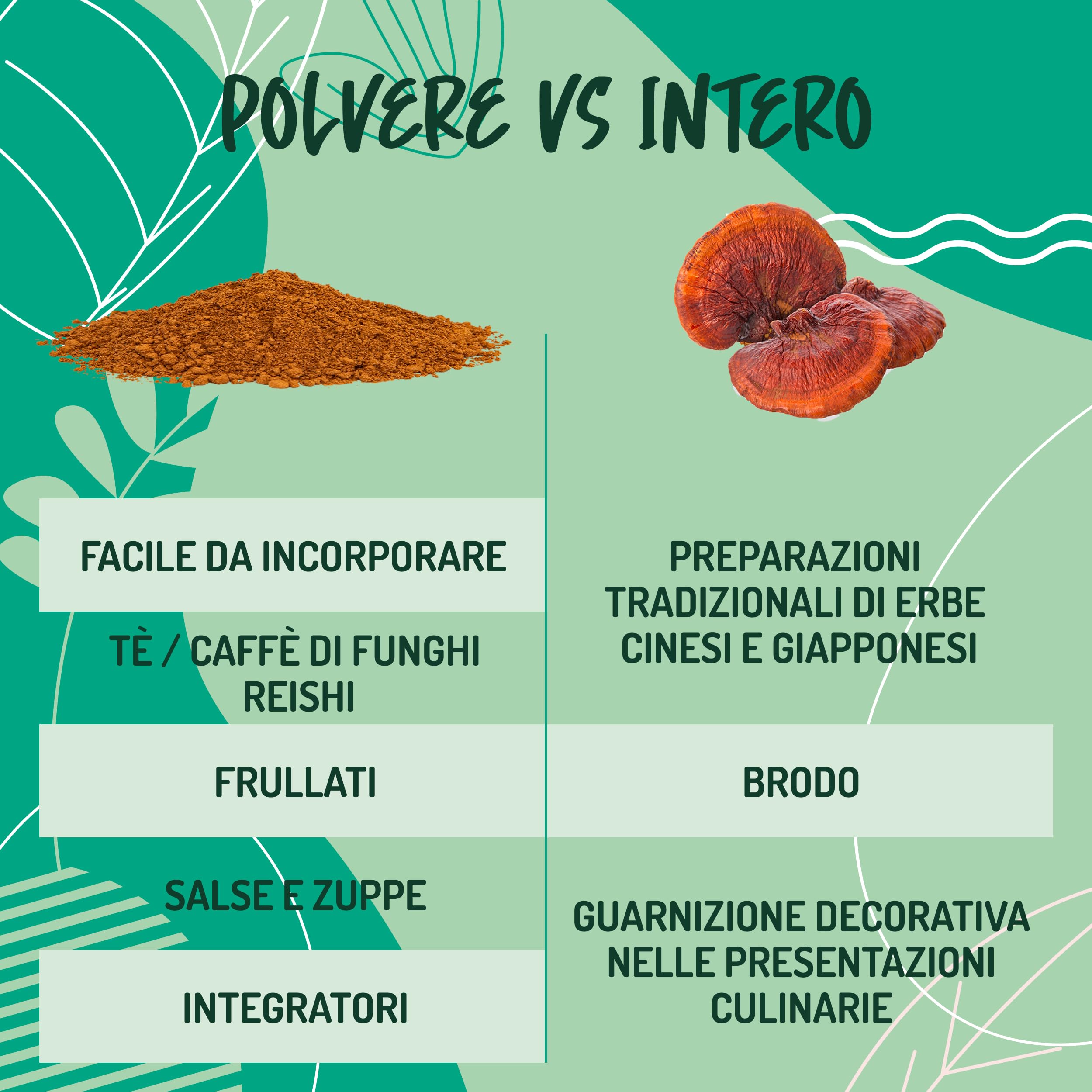 Reishi Ganoderma Lucidum Puro e Bio in Polvere - 300g. Fungo Reishi Biologico Essiccato al Sole e Macinato a Basse Temperature. Funghi medicinali Fonte di Antiossidanti, Fungo Cinese Reishi