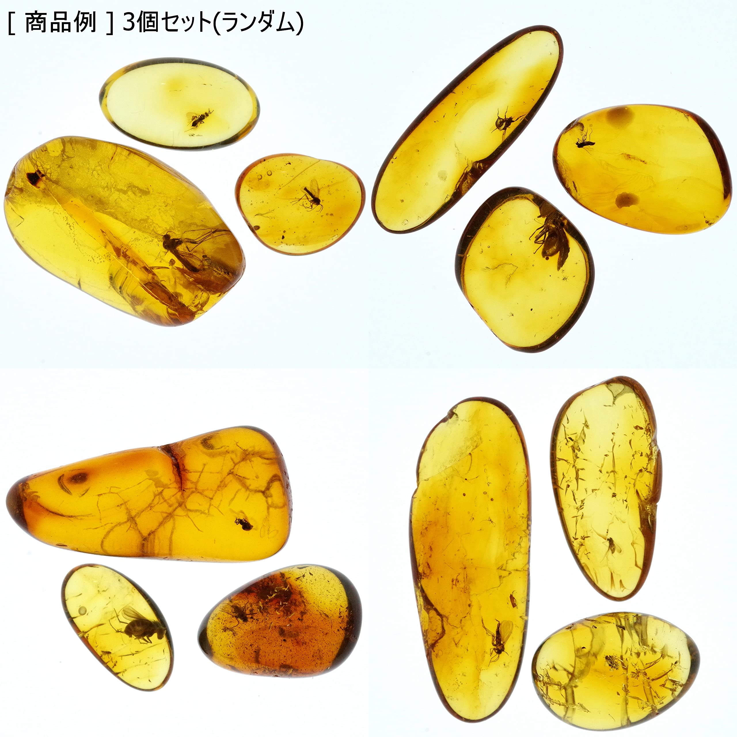 Amazon | [N2 stone Natural] 天然化石 虫入り琥珀 (アンバー/Baltic 
