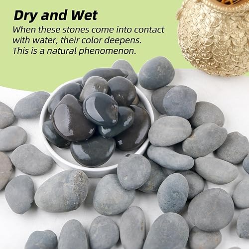 Miniatura 4 de Rocas de río de 2.4 libras, guijarros de playa mexicanos para plantas, maceta, paisaje de jardín, piedra de pavimento gris de 1 pulgada a 2 pulgadas