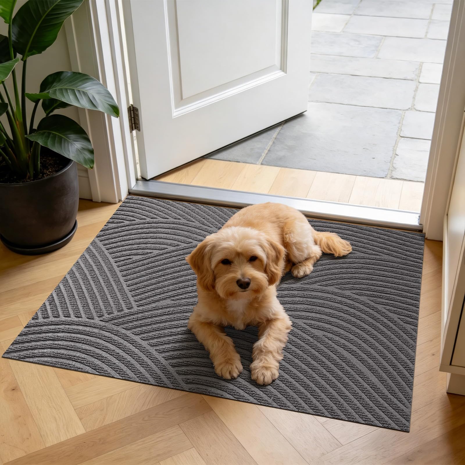 Tapis Entree Interieur Extérieur, Attrape-Poussière, 80x120cm-Gris
