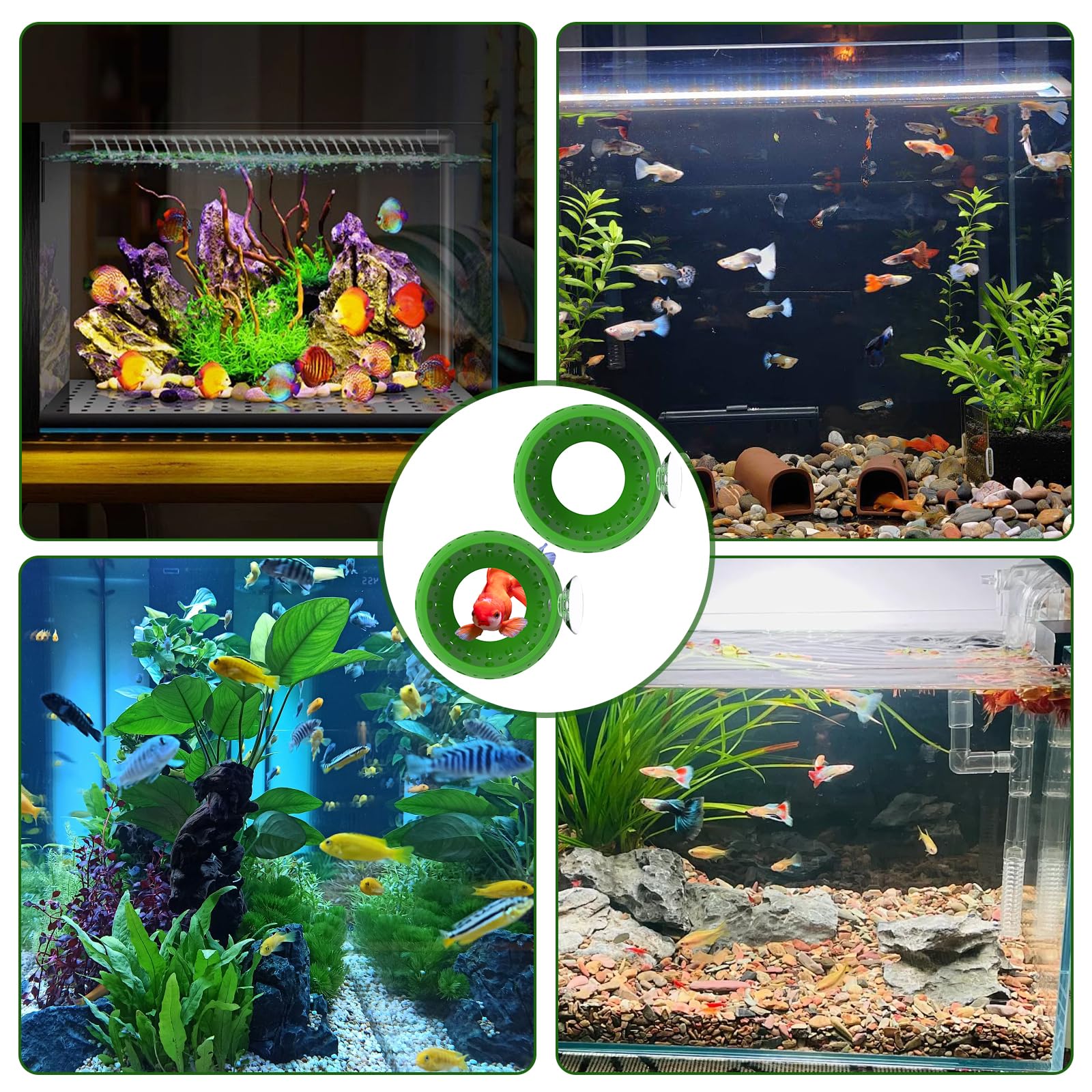 Cachette Pour Poisson Betta - Grotte Aquarium Avec Ventouse - Décor Imprimé 3D Pour Crevettes Et Petits Poissons
