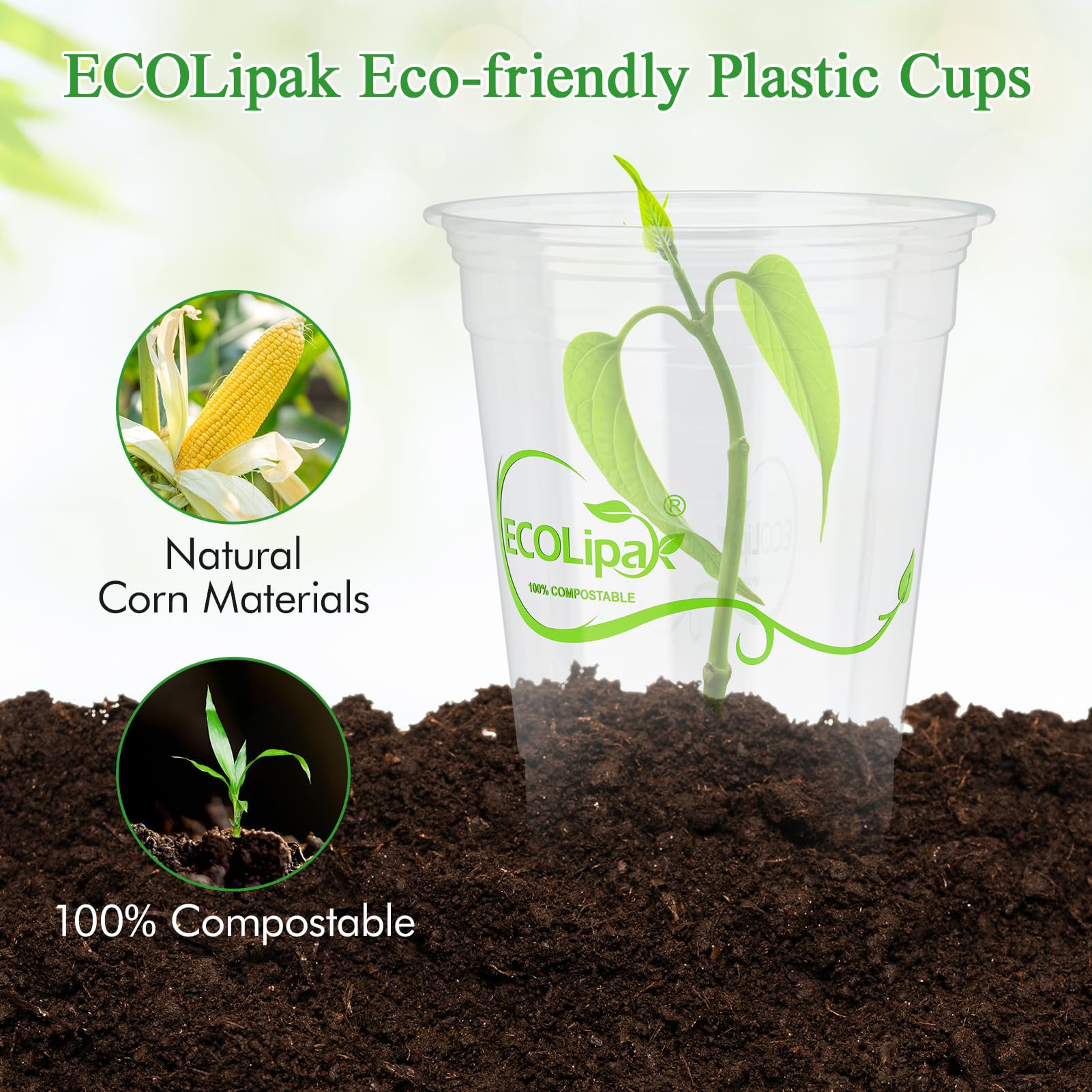 Snapklik.com : 1000 Count 16 OZ Clear Compostable Plastic Cups ...