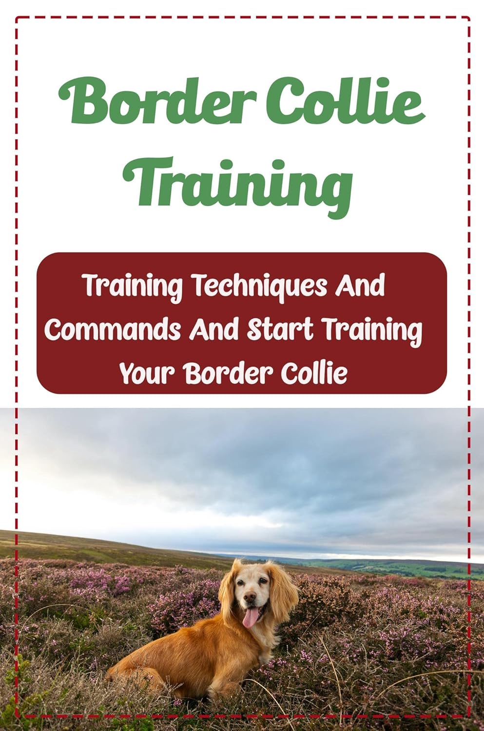 Border Collie Training Training Techniques And Commands And Start