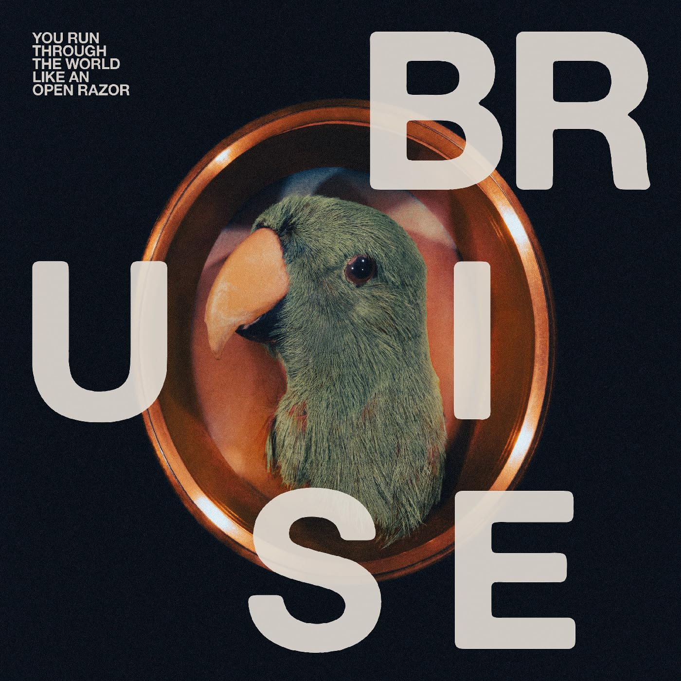 BRUISE BLOOD - You Run Through The World Like An Open Razor - Vinyl (LP)