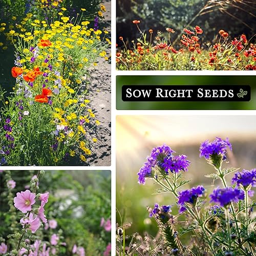 Miniatura 4 de Sow Right Seeds - Mezcla de semillas de flores silvestres para plantar en el sureste - Paquete de reliquia sin OMG con instrucciones para cultivar