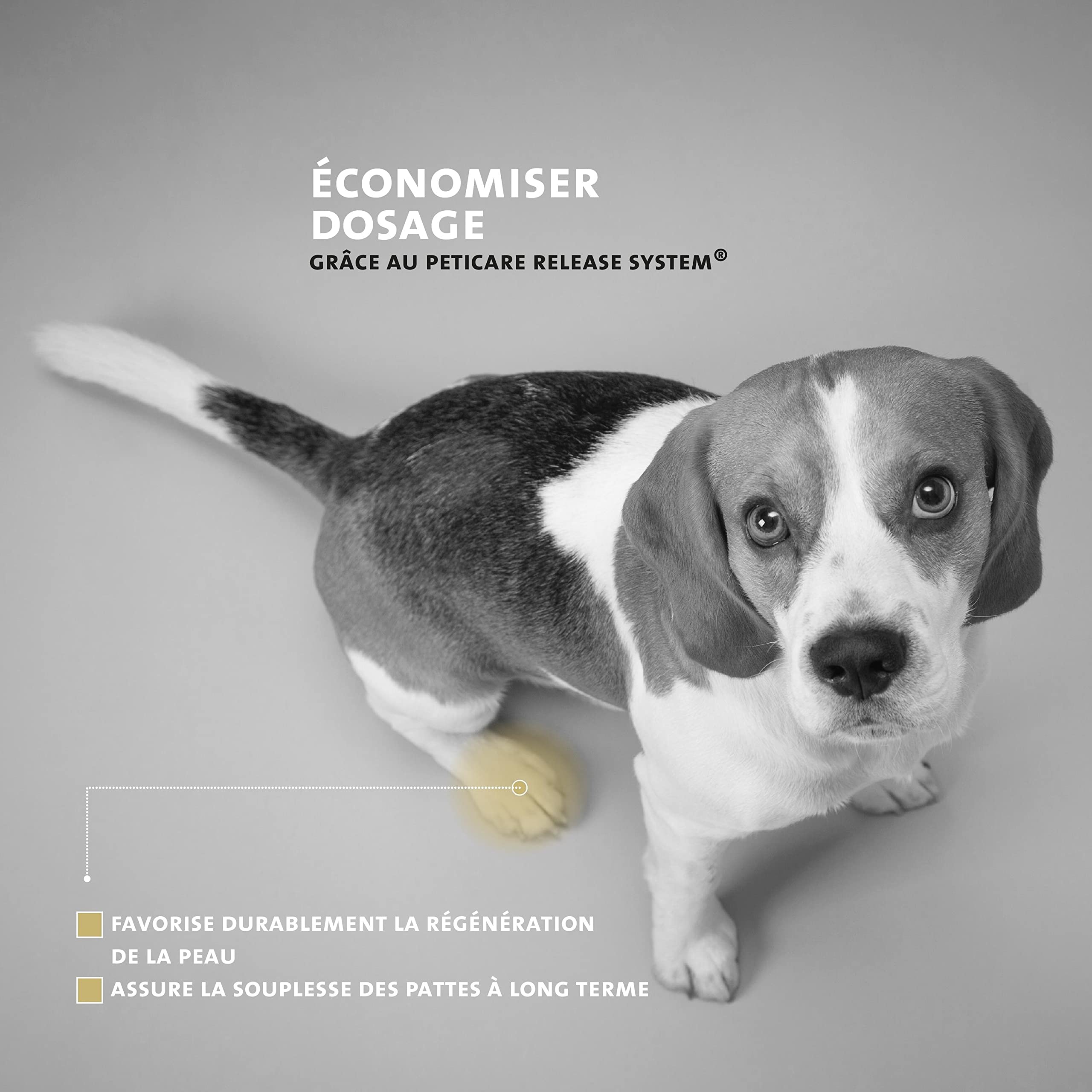Peticare Chien Baume pour Pattes - Soin de Protection en Cas d'inflammation, Protege Coussinet gerce ou Fragile, Évite durcissement, Protection Contre Sel en Hiver, Pommade Creme - petDog Care 2103
