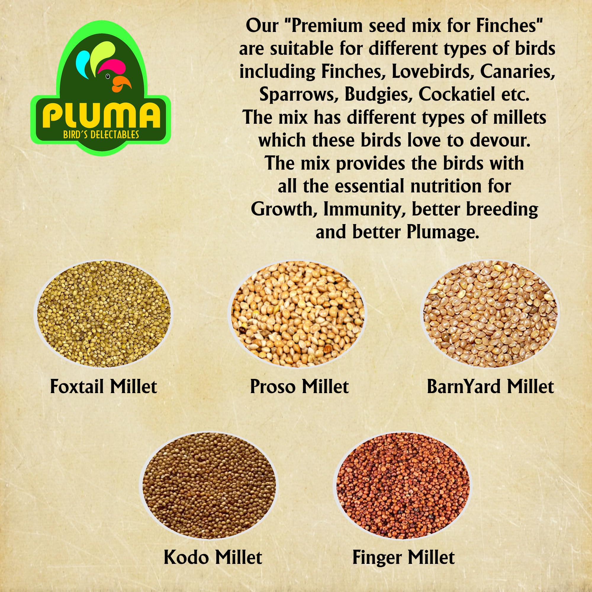 PLUMA BIRD'S DELECTABLES Food For Finches, Love Birds, Canaries, Sparrows-750G|Premium Seed & Millet Mix|Daily Food For Small Birds|All Life Stages 2