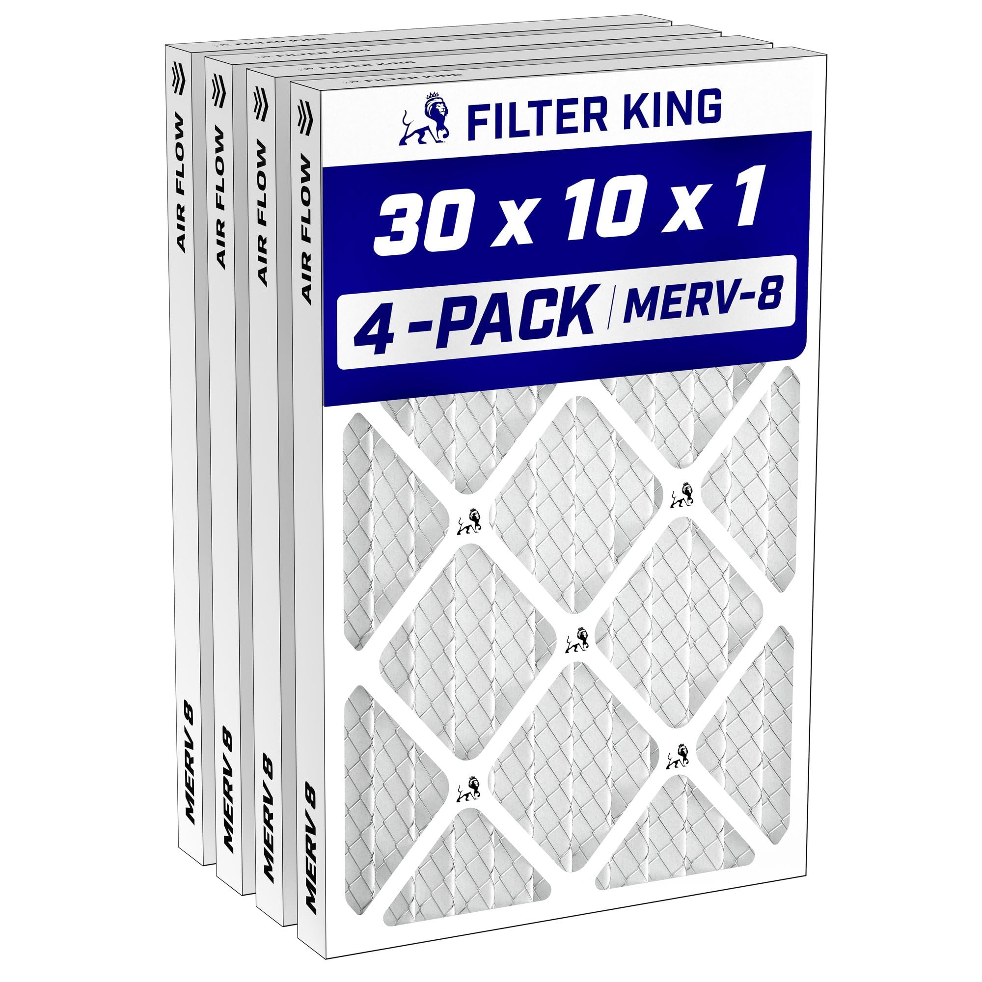 Filter King 30x10x1 MERV 8 (4-Pack)