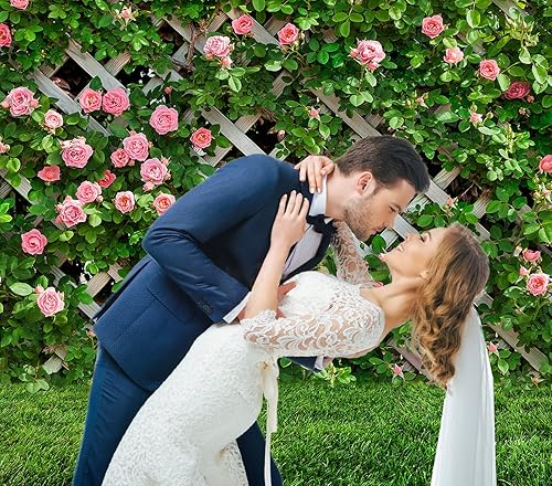 Miniatura 5 de AIIKES Telón de fondo de fotografía de flores de 8 x 8 pies, fondo de fotos florales de primavera, telón de fondo de valla de hojas verdes, telón de