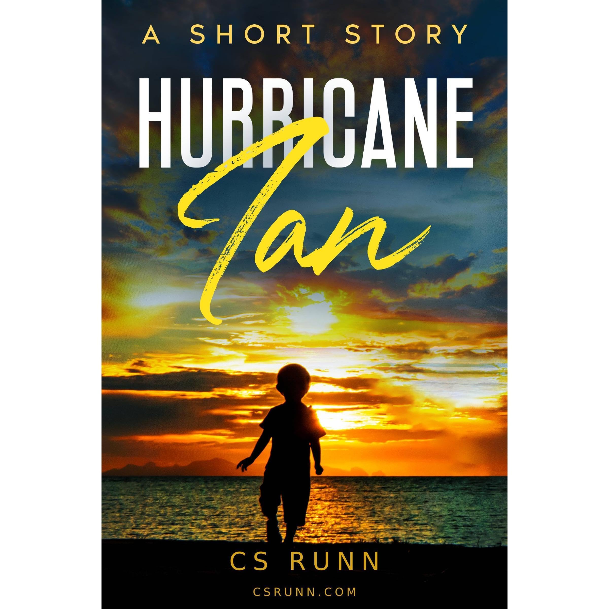 Hurricane Ian Disaster