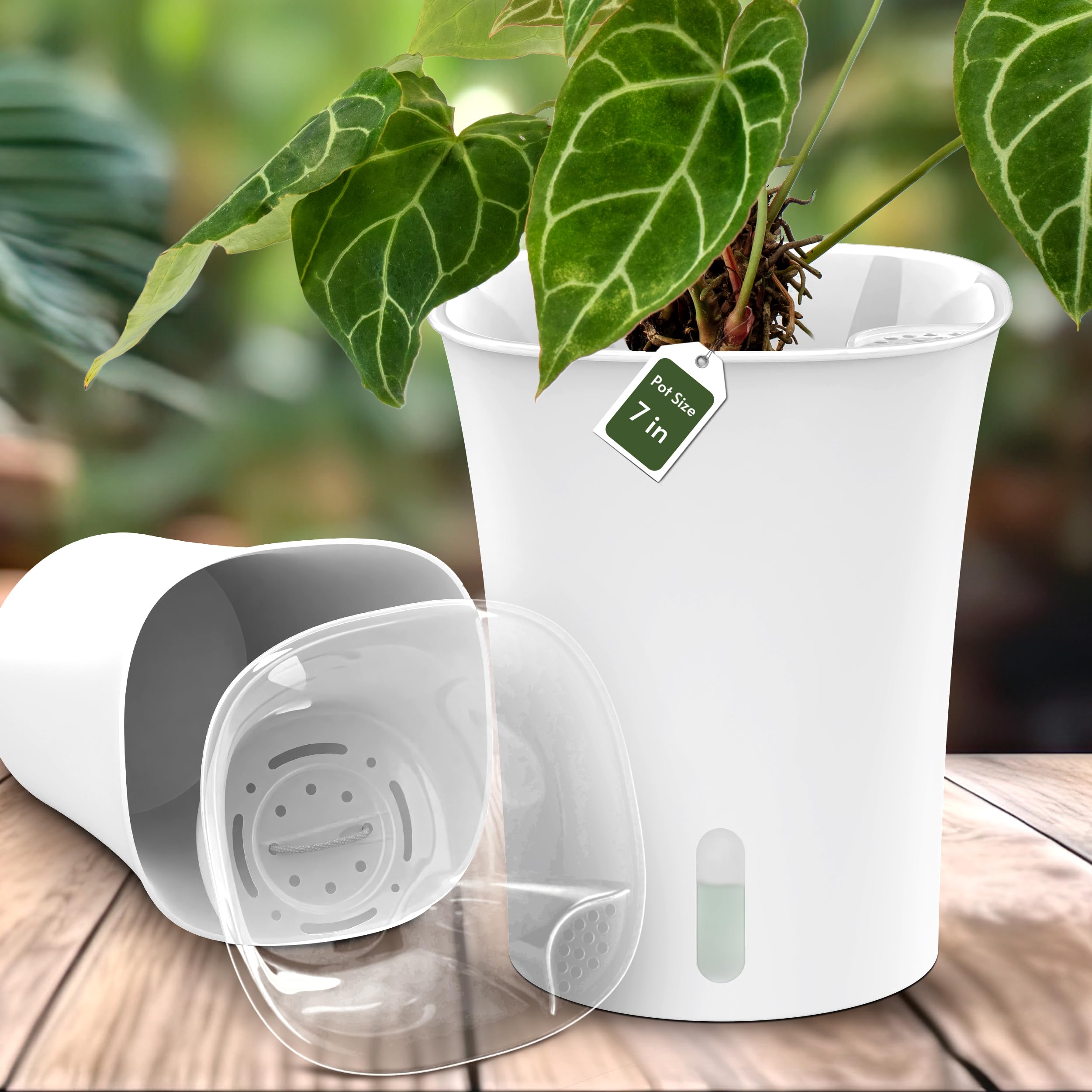 Amazon.com : karenplantsplants 7" Tall Diameter Self Watering Pot (5-Pack)  Decorative Planter with Water Level Indicator for House Plants, Flowers,  Herbs : Patio, Lawn & Garden