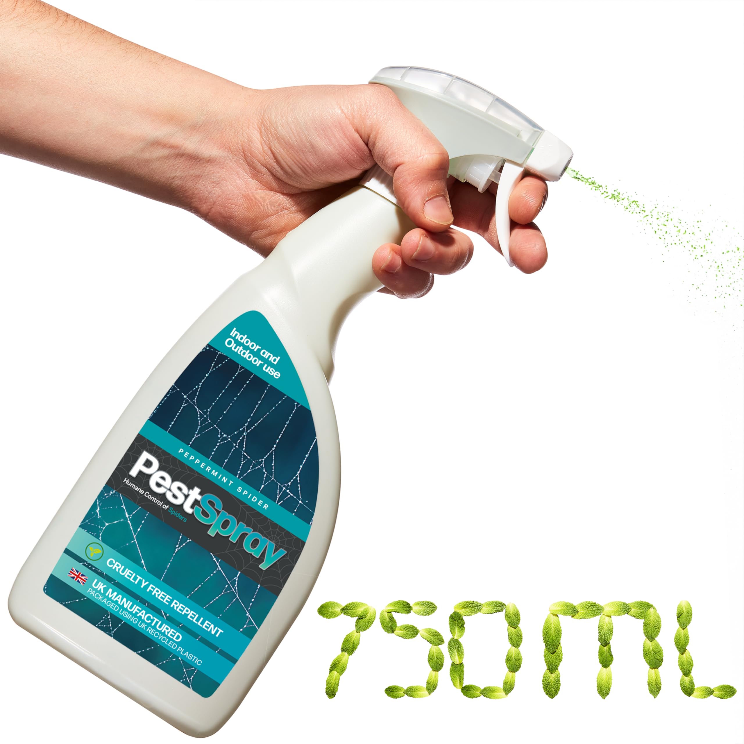 Peppermint Spider PestSpray, Peppermint Oil Spray, Spider Repellent, 750ml Bottle, Suitable Indoor & Outdoor Use