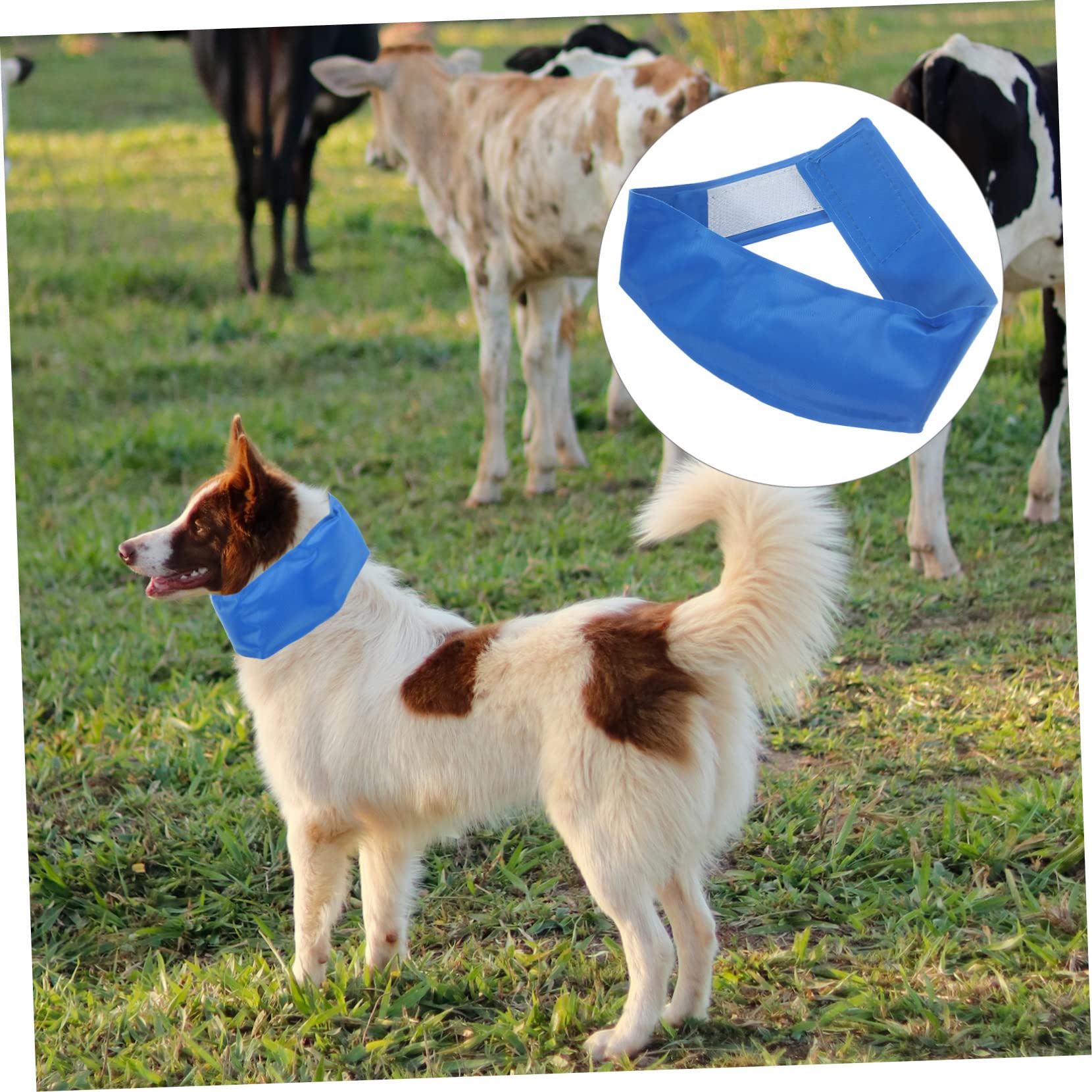 5 Stück Kühlende Bandana- Für Hunde Für Welpen Bandanas Für Kleine Hunde Haustierhalsbänder Polyester-Eispad Blau Der Hund