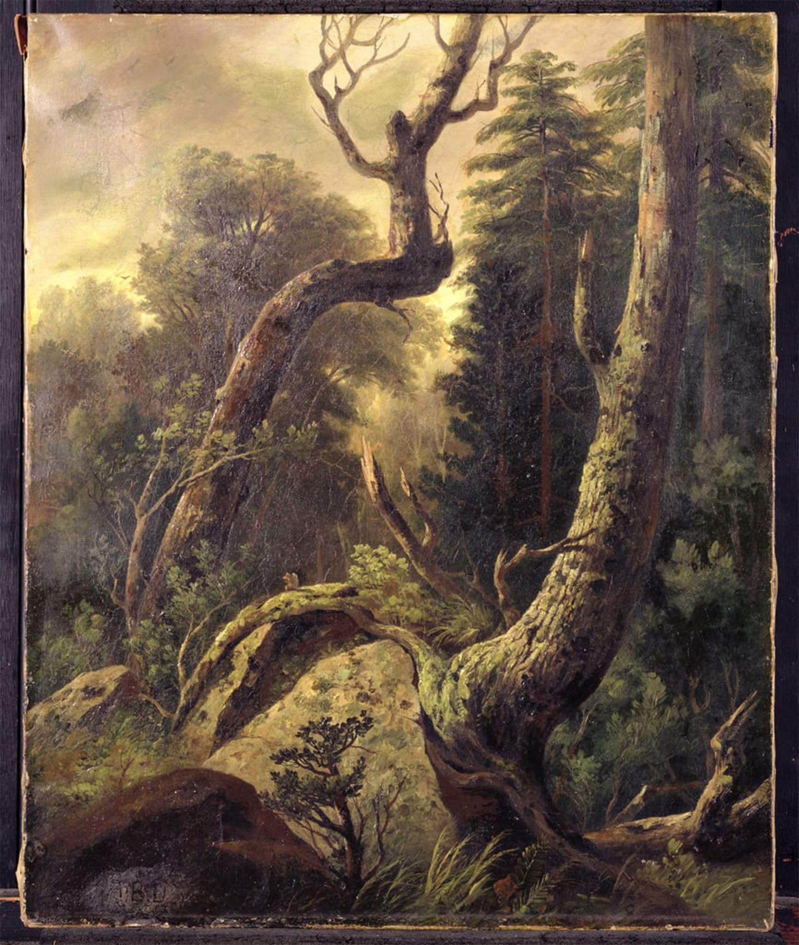 ARTXLXXBN Famous Prints Artwork Pictures Poster Painting Art Forest Landscape by Asher Brown Durand Artwork Landscape Pictures for Home Decor 60x90cm