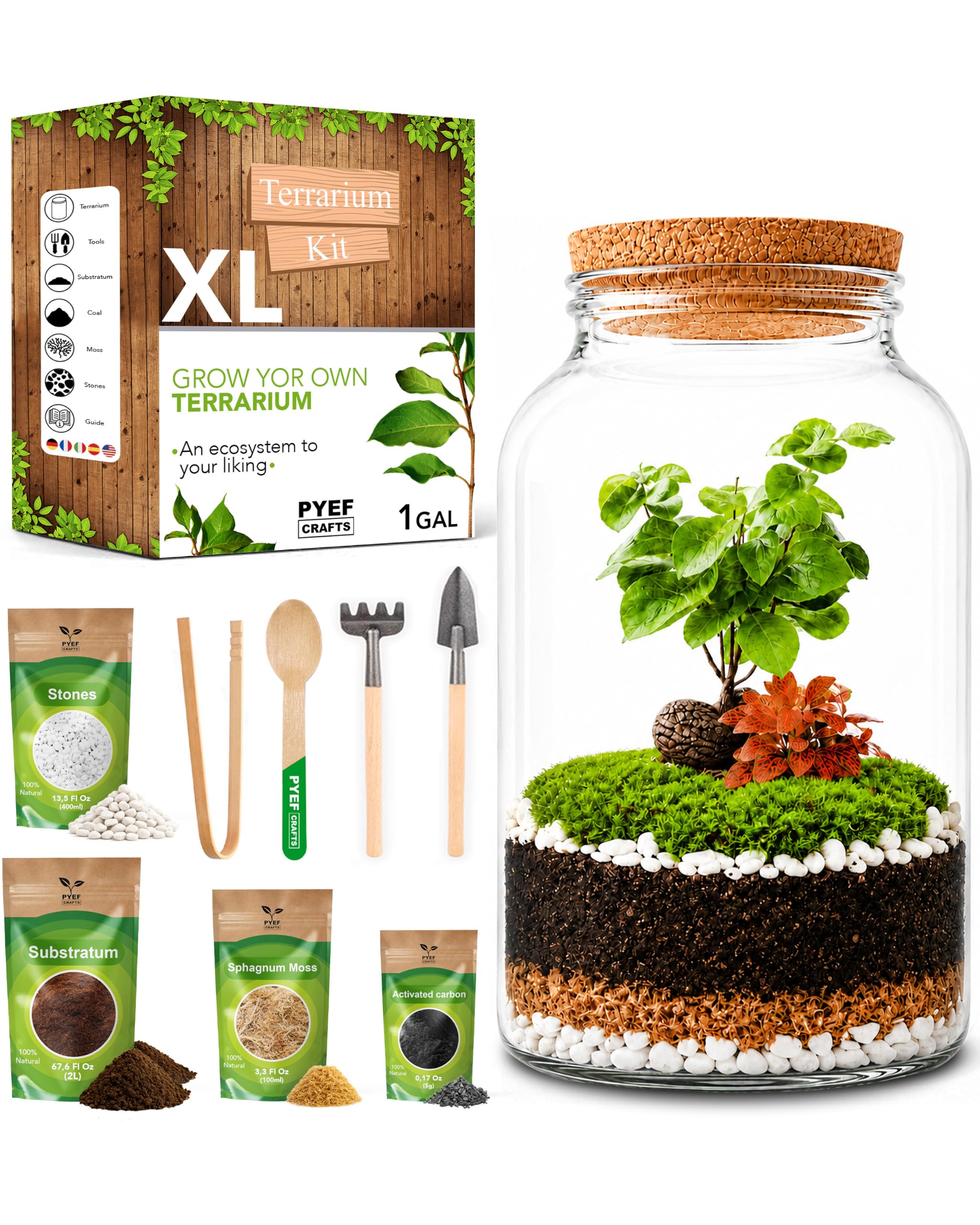 PYEF CRAFTS Terrarium Kit