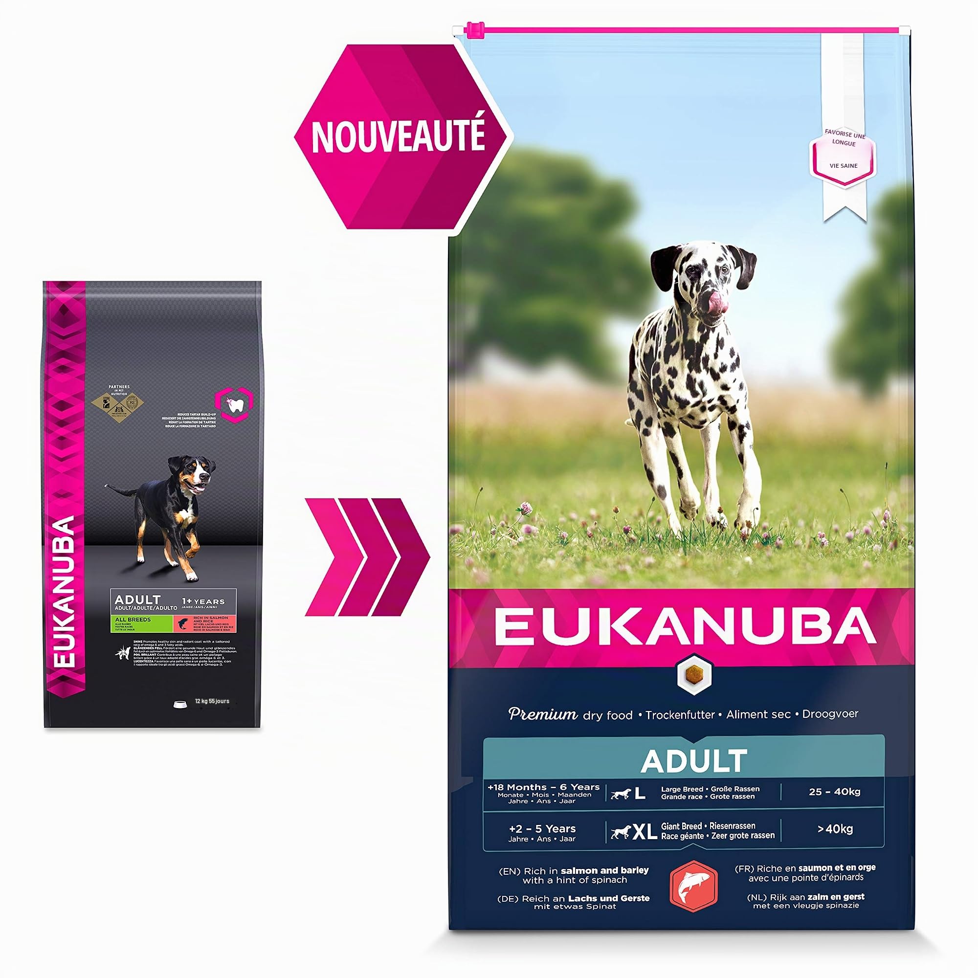 Eukanuba Chien Adulte Nourriture sèche Pour Grande Race Saumon&Orge 12kg