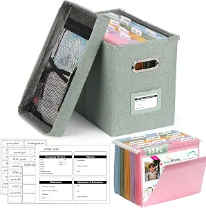DOSTATNI K-12 School Years Organizer Kit with Memory Keepsake Box and 15 Hanging File Folders (Green)