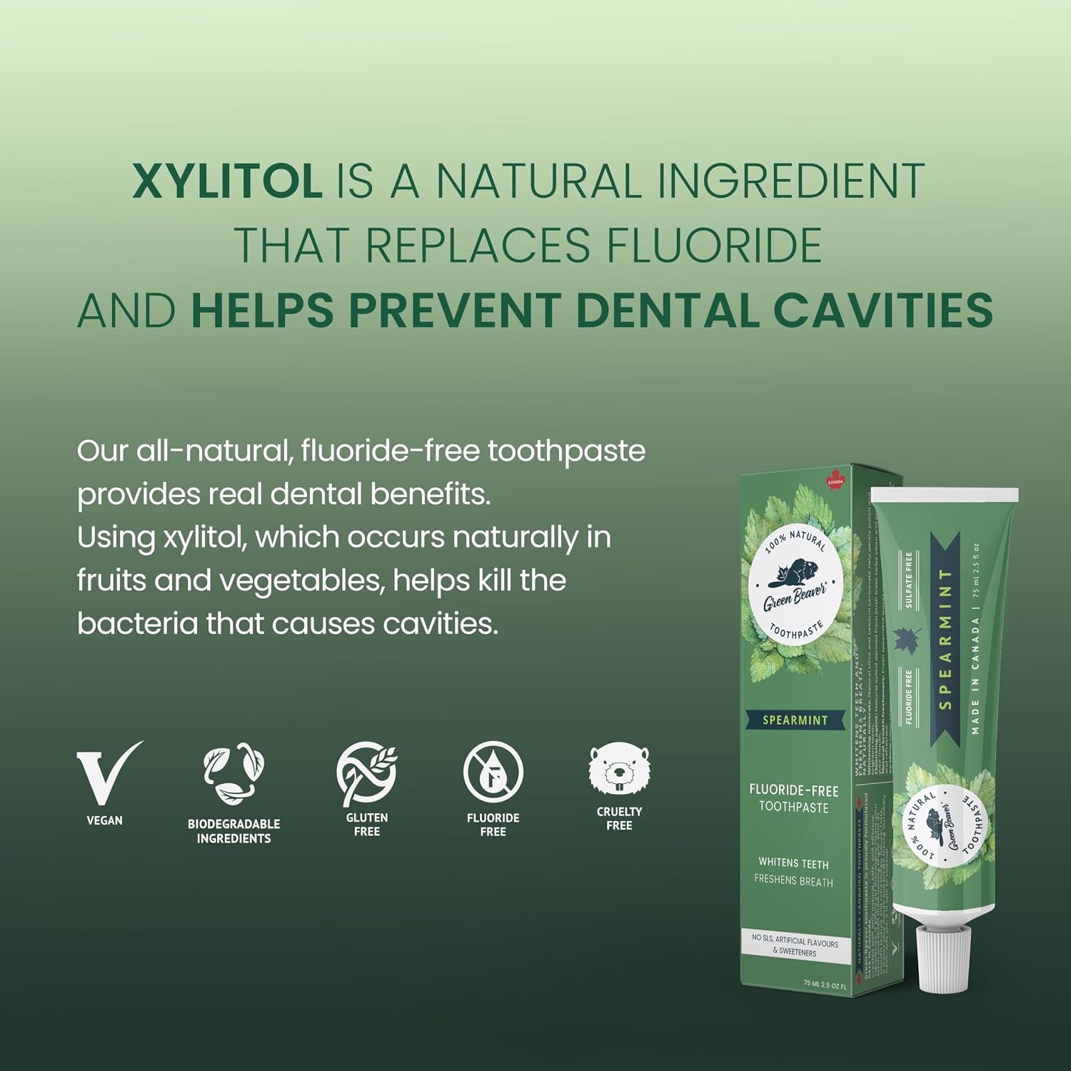 Green Beaver Spearmint Toothpaste, 75 ML