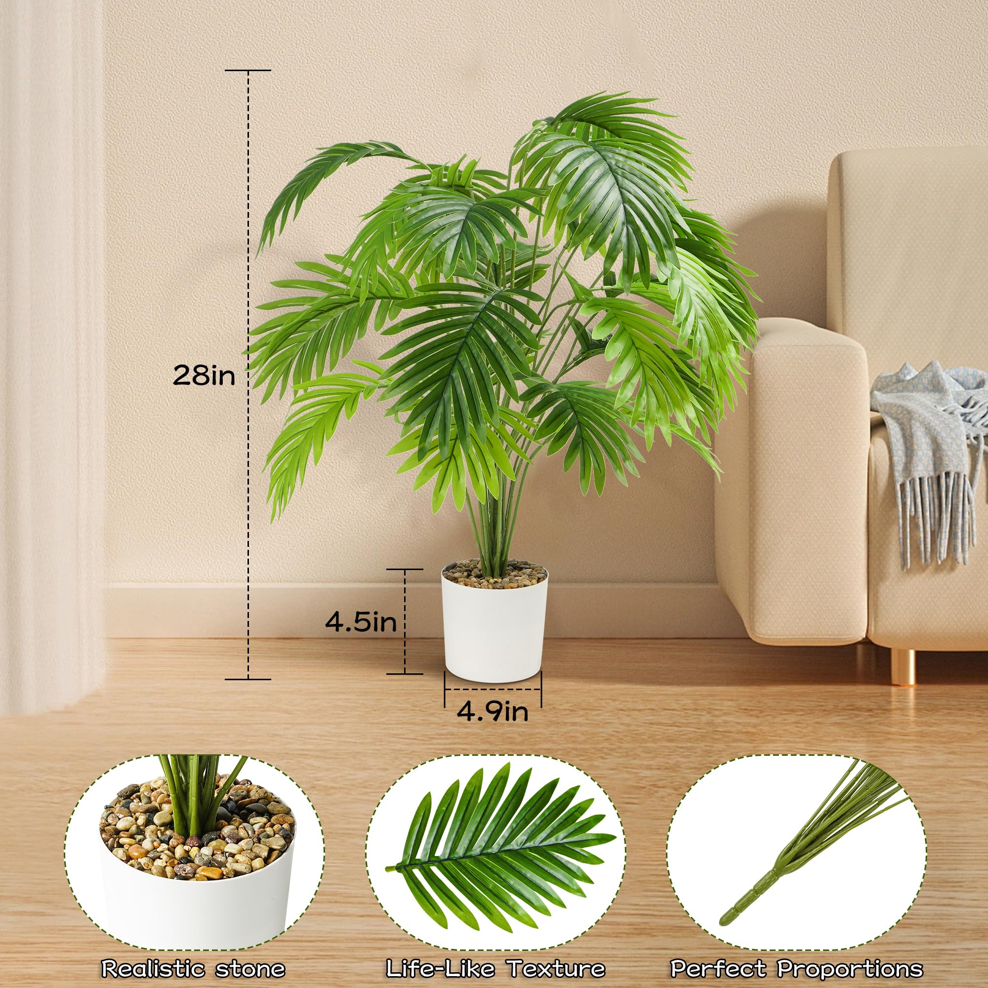 indoor monstera deliciosa Monstera Deliciosa