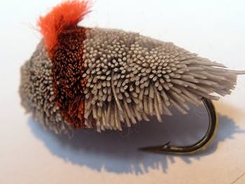 Ami Da Pesca Alla Carpa Con Durezza E Potere Di Penetrazione Migliorati - Foto 12