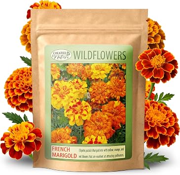 French Marigold Seeds, Sparky Mix, Tagetes patula, 2,300 Seeds, 200 Sq Ft | Easy-to-grow annual French Marigold seeds create colorful blooms, attract bees and butterflies, and beautify gardens easily.