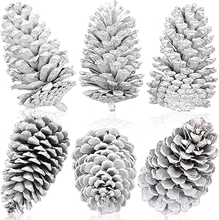 Tondiamo 6 Pcs Christmas Large Pine Cones Giant White Xmas Tree Ornaments Big Unscented Natural Pinecones Craft for Decoration Winter Christmas Holiday Craft DIY Wreath Filler Home Wedding(6-7 Inch)