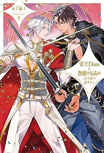 商業BL　人気作品　水壬楓子　最凶シリーズ　妃川螢　SWEET＆COLDシリーズ BL小説】 水壬楓子 北沢きょう 光と影の王 上下巻 - メルカリ