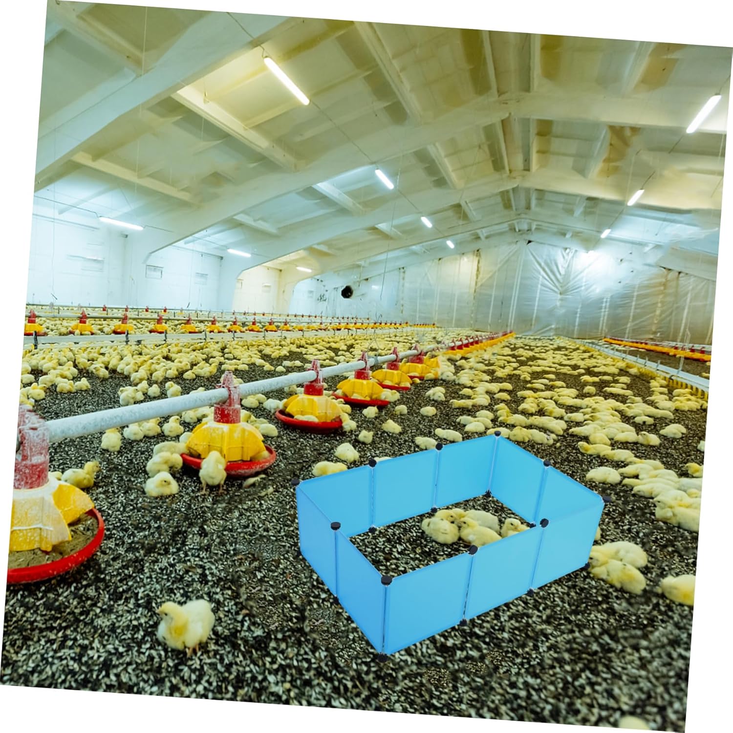 1set Small Pets Playpen Panel Indoor Playpen for Hamsters Rabbits and Small Animals Compact Design Easy to Install Enclosure Panels and Clips