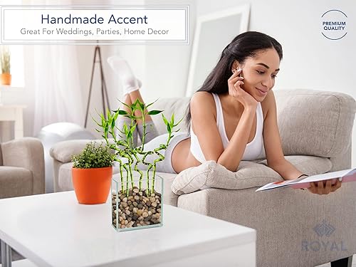 Miniatura 3 de Royal Imports Royal Imports - Florero de cristal decorativo para el hogar o la boda - Placa rectangular plana de vidrio, 6 pulgadas de ancho x 6