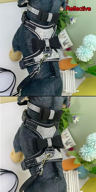 Foto 3 de 6 de Newtensina 3 lazos de lazo para perro y collar de perro con correa para perro - negro - M
